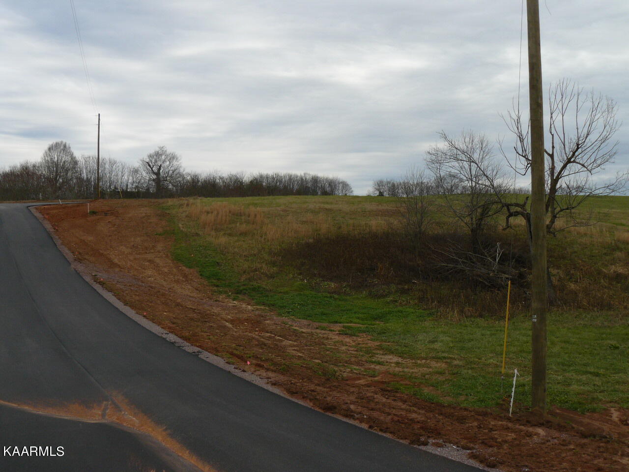 Lot 58 Schertz Lane Rutledge, TN 37861 - Photo 1 of 5 P1420076