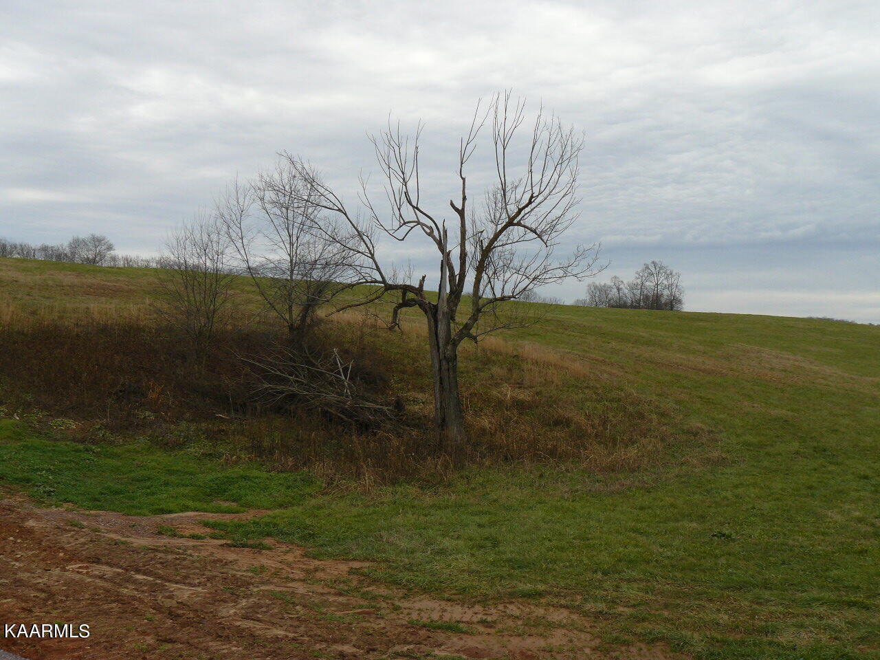 Lot 58 Schertz Lane Rutledge, TN 37861 - Photo 4 of 5 P1420077