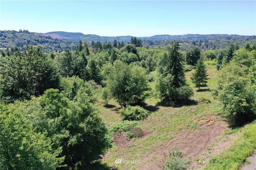 C Flynn Road Silver Creek, WA 98585 - Photo 1 of 10 Gallery Image 1