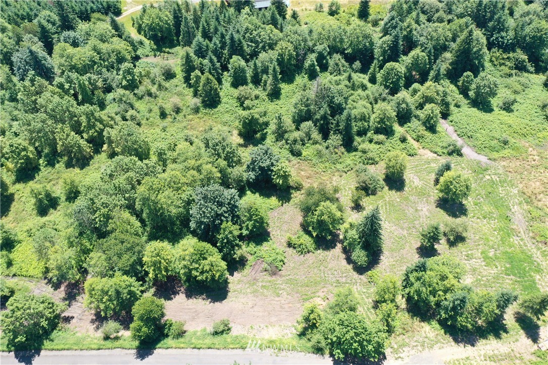 C Flynn Road Silver Creek, WA 98585 - Photo 2 of 10 Gallery Image 2
