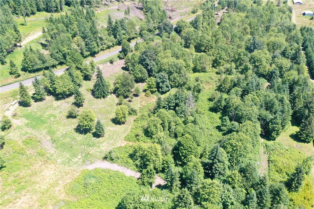 C Flynn Road Silver Creek, WA 98585 - Photo 3 of 10 Gallery Image 3