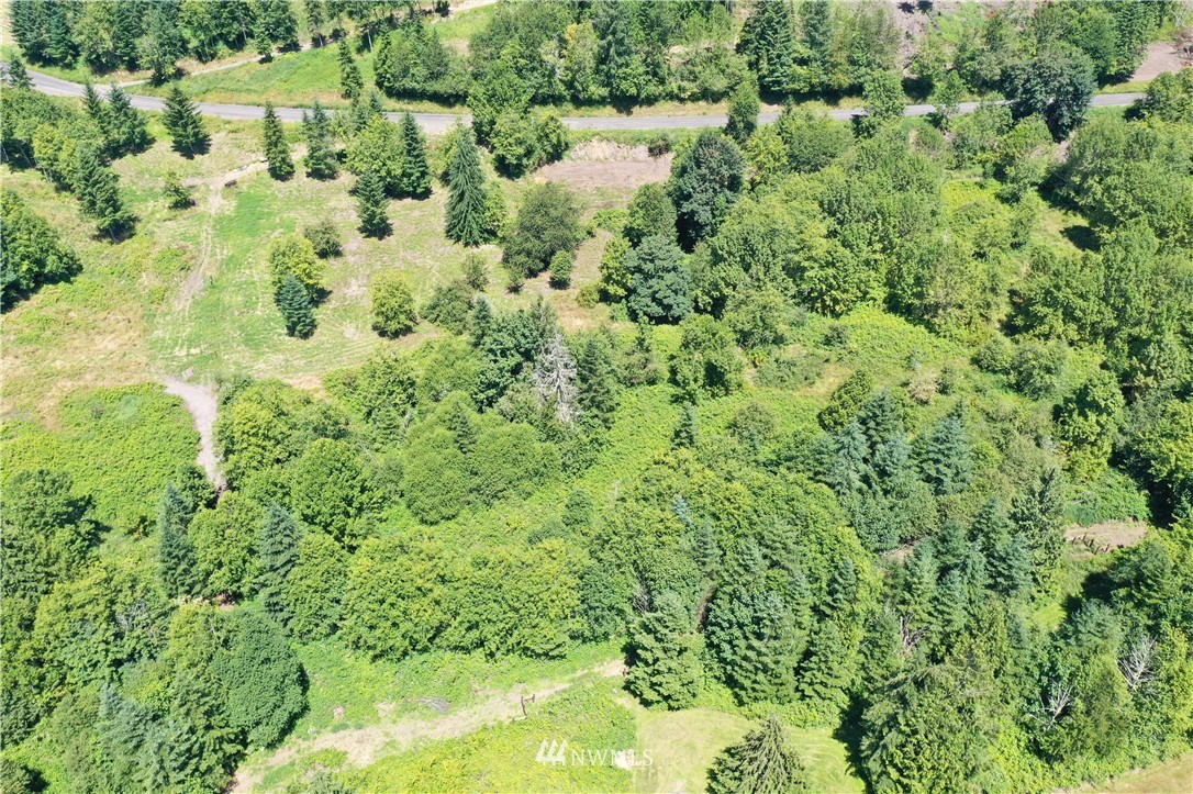 C Flynn Road Silver Creek, WA 98585 - Photo 4 of 10 Gallery Image 4