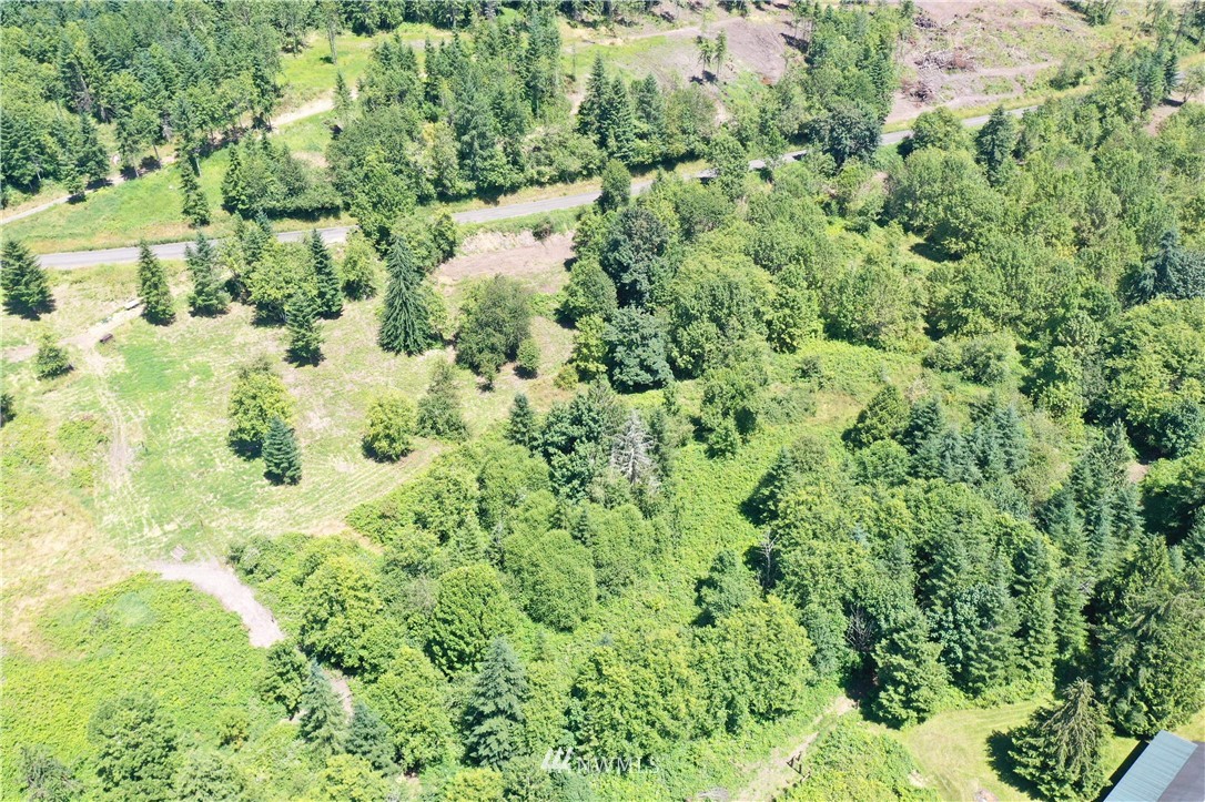 C Flynn Road Silver Creek, WA 98585 - Photo 5 of 10 Gallery Image 5