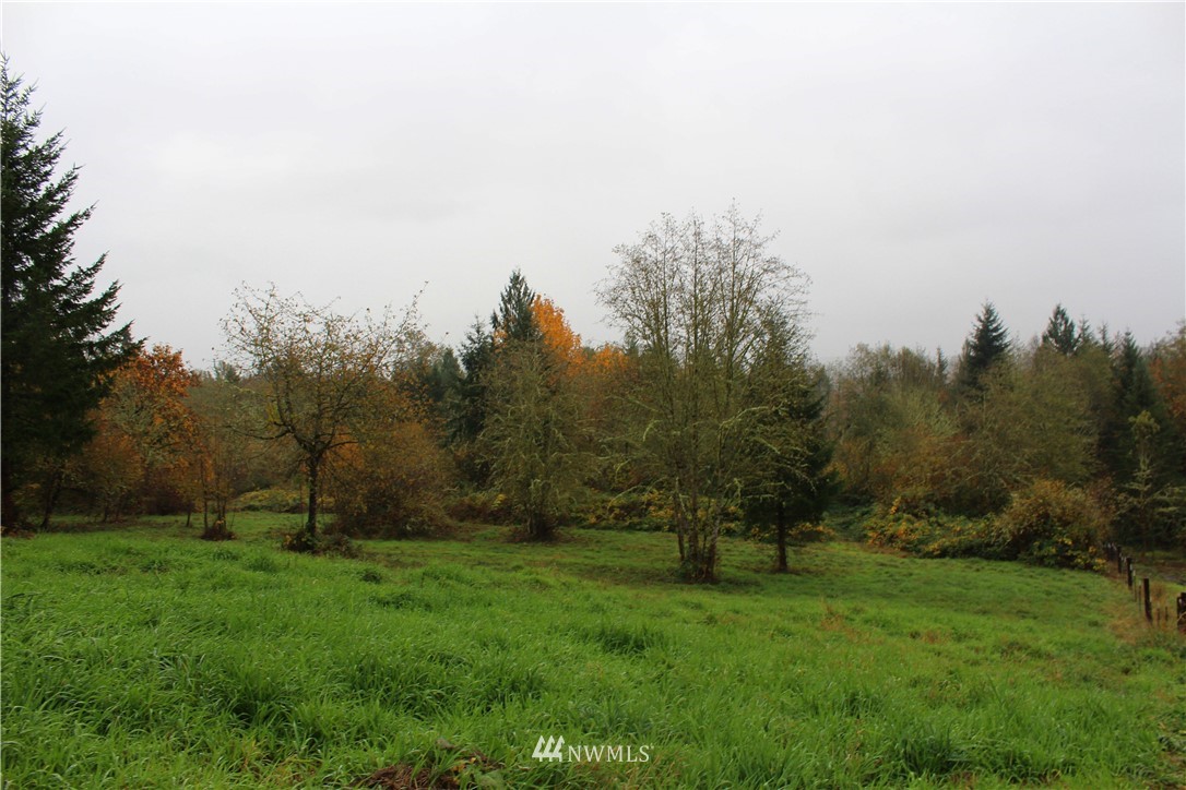 C Flynn Road Silver Creek, WA 98585 - Photo 7 of 10 Gallery Image 7