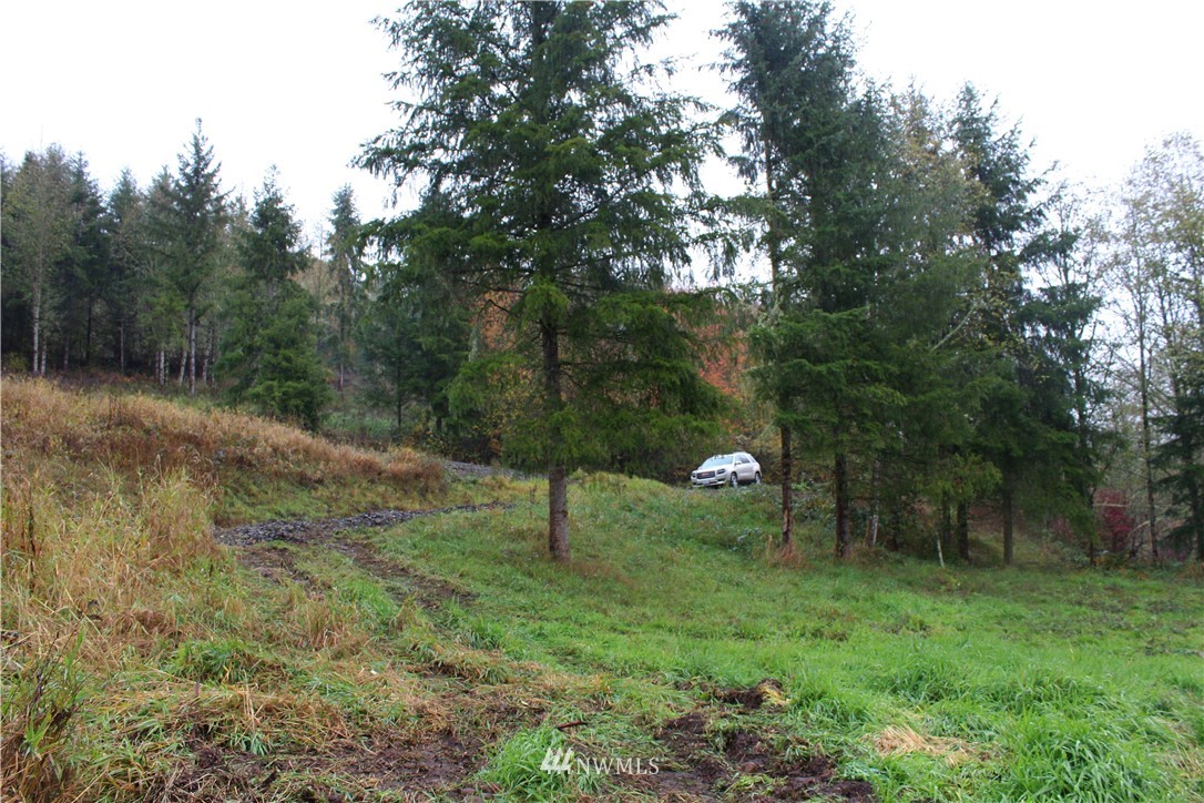 C Flynn Road Silver Creek, WA 98585 - Photo 9 of 10 Gallery Image 9