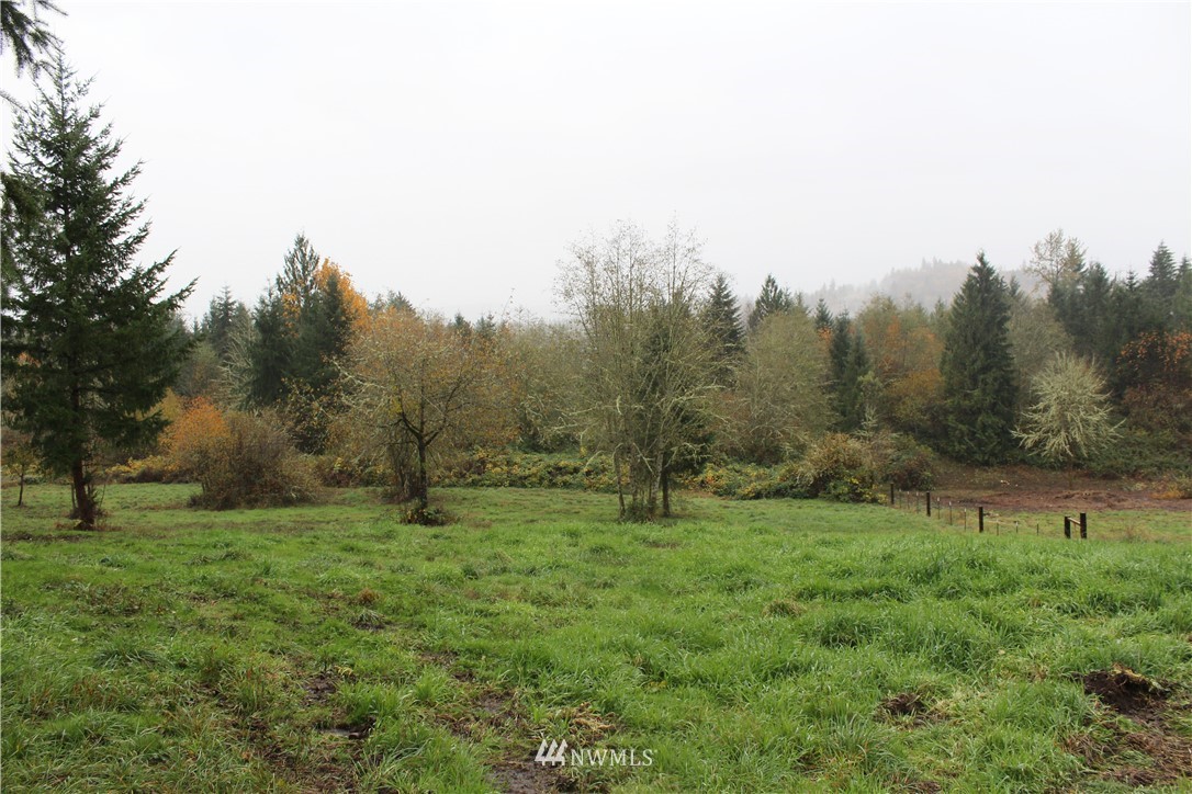 C Flynn Road Silver Creek, WA 98585 - Photo 10 of 10 Gallery Image 10