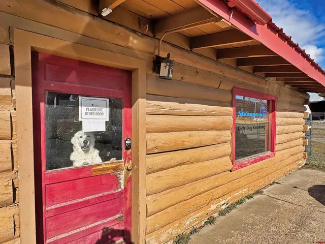 a view of a backyard