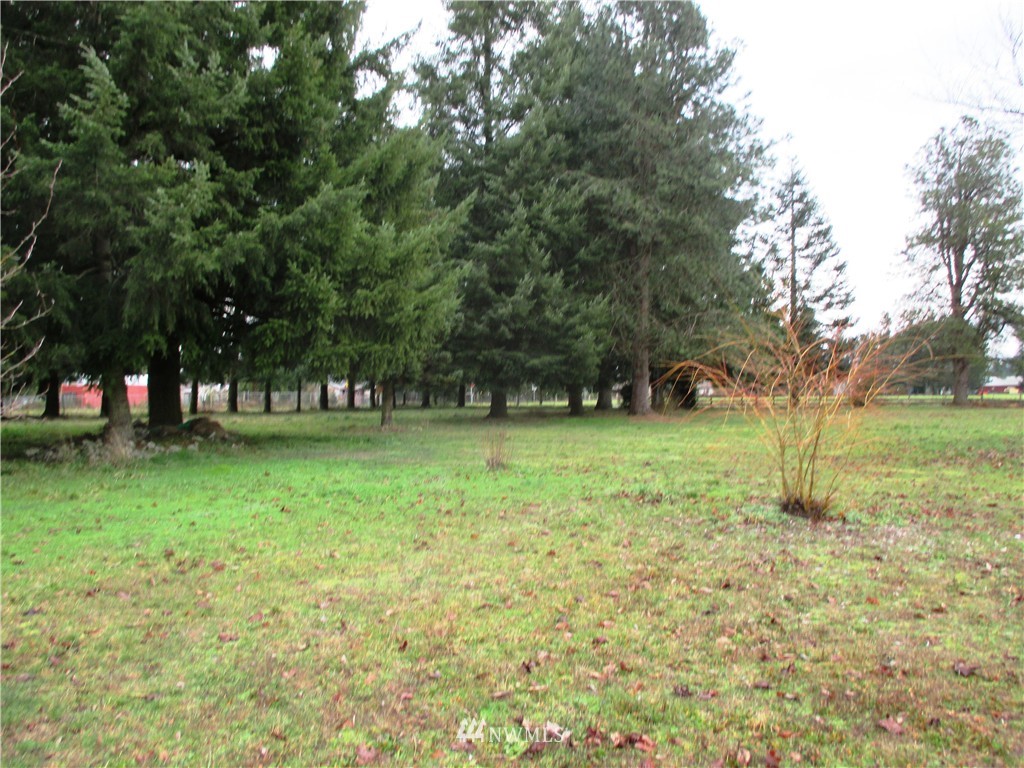 16330 Gibson Road Southwest Tenino, WA 98589 - Photo 14 of 14