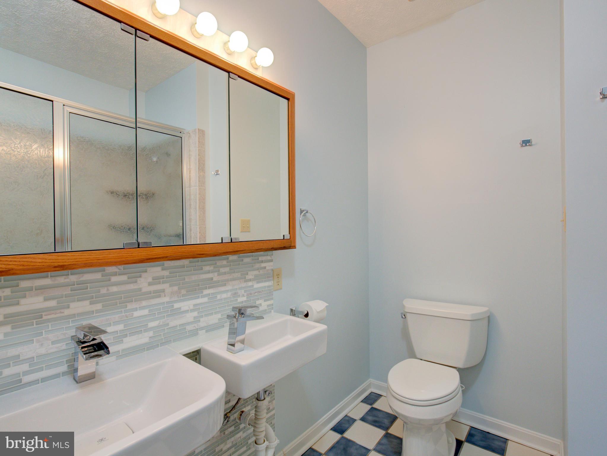 449 Rolling Ridge Lane Winchester, VA 22603 - Photo 14 of 30 Bath (Master)