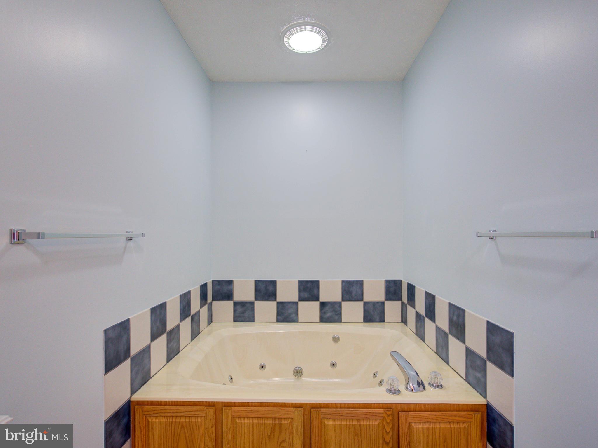 449 Rolling Ridge Lane Winchester, VA 22603 - Photo 15 of 30 Bath (Master)