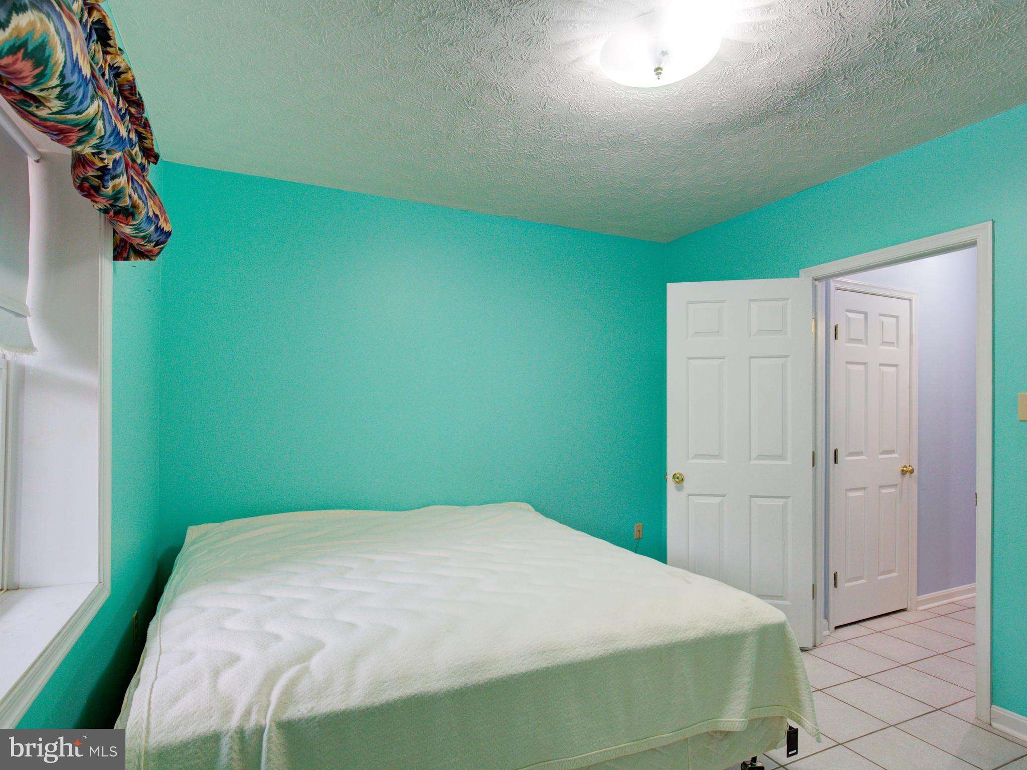 449 Rolling Ridge Lane Winchester, VA 22603 - Photo 19 of 30 Lower level bedroom