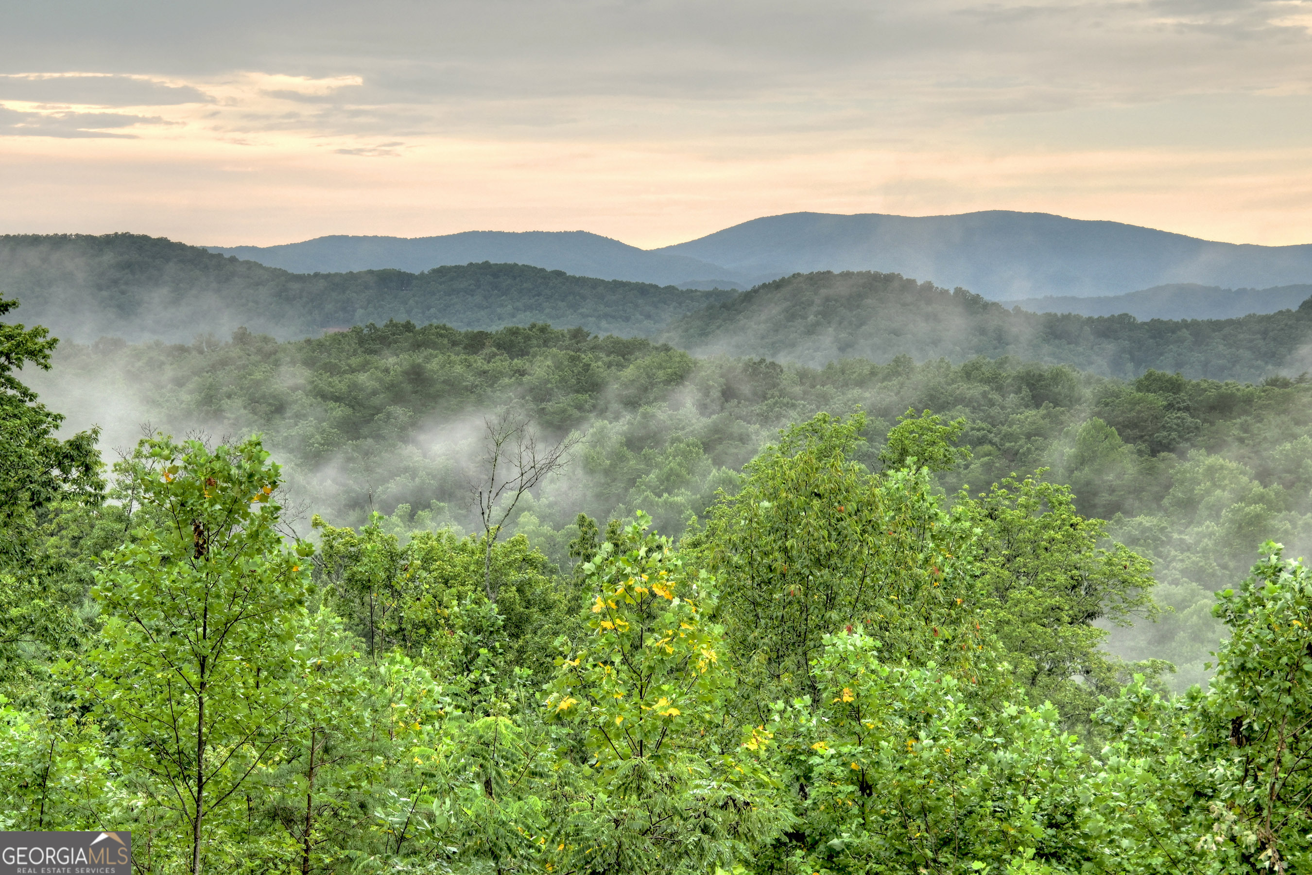785 Wehunt Road Epworth, GA 30541 - Photo 20 of 73 a view of a mountain range with lush green forest