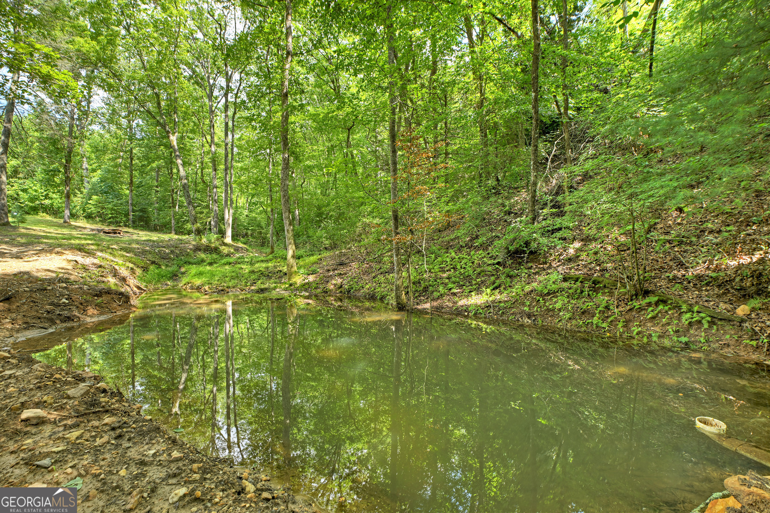 785 Wehunt Road Epworth, GA 30541 - Photo 55 of 73 a close up of a plant