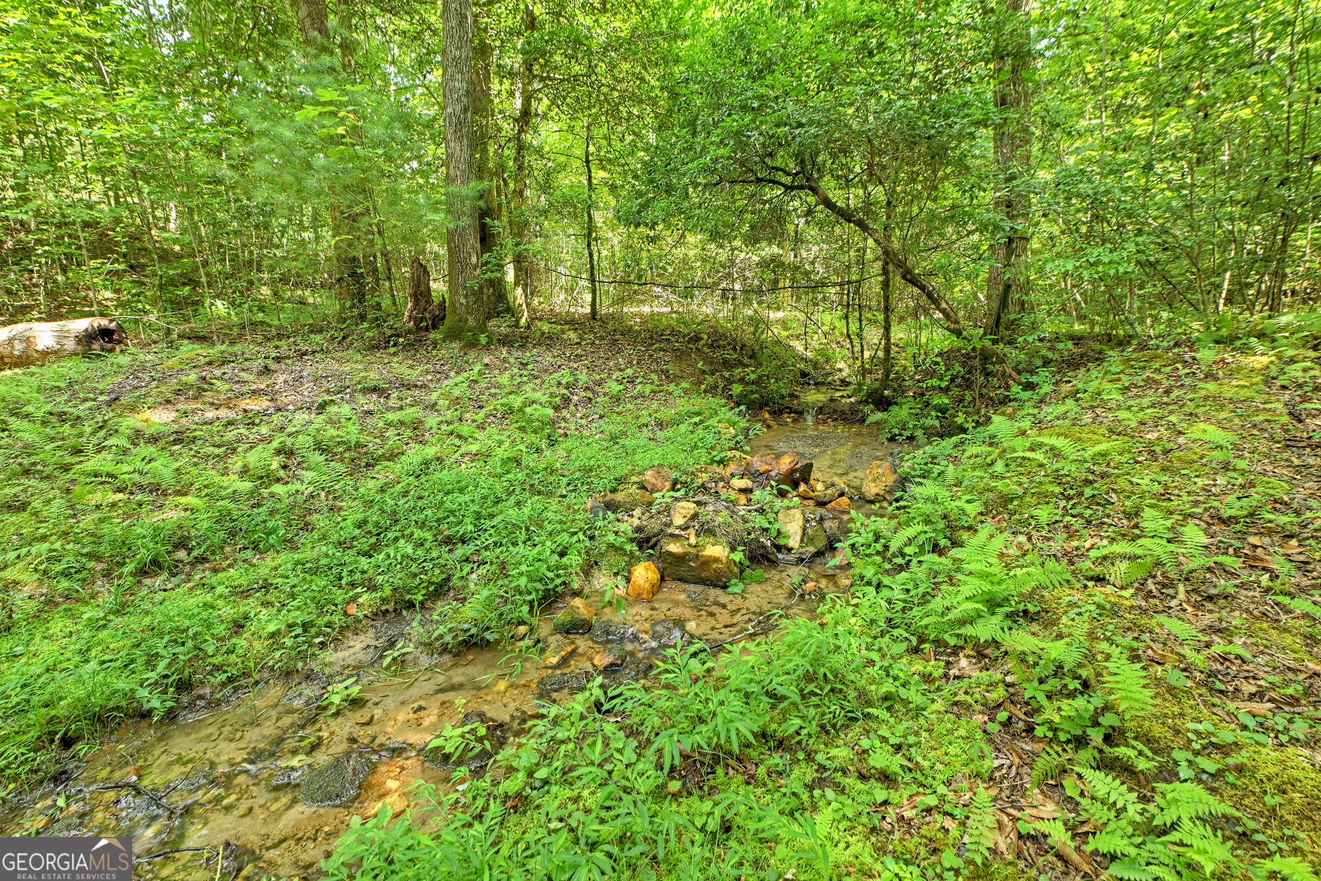 785 Wehunt Road Epworth, GA 30541 - Photo 57 of 73 a backyard of a house with lots of green space