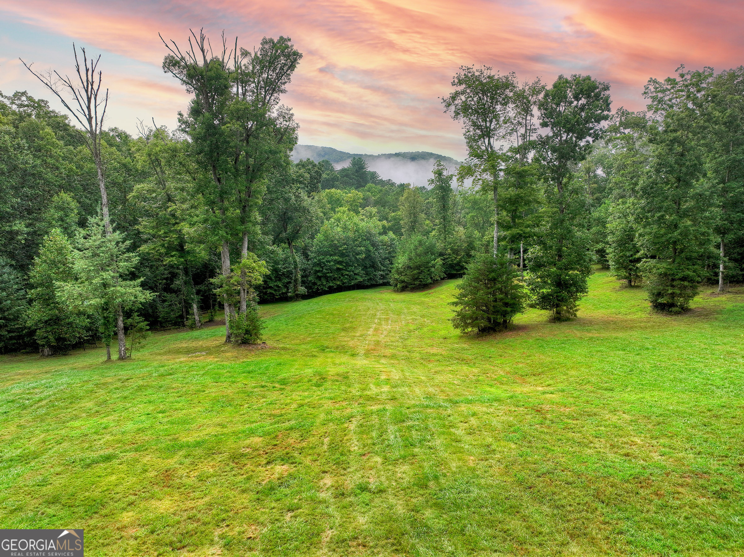 785 Wehunt Road Epworth, GA 30541 - Photo 64 of 73 a view of a field of grass and trees