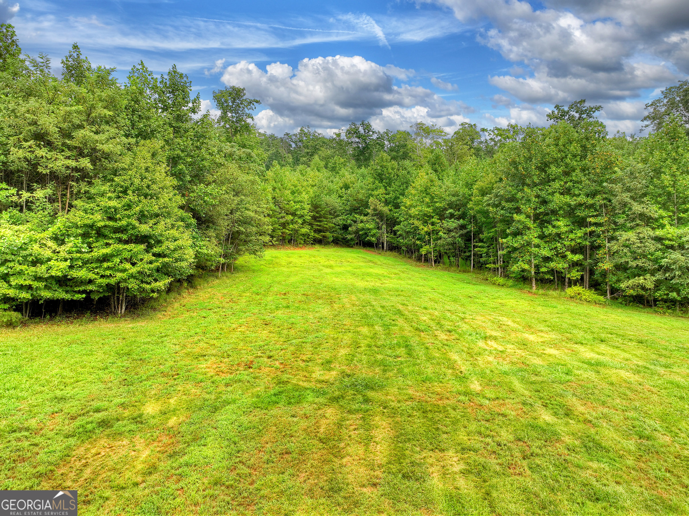 785 Wehunt Road Epworth, GA 30541 - Photo 65 of 73