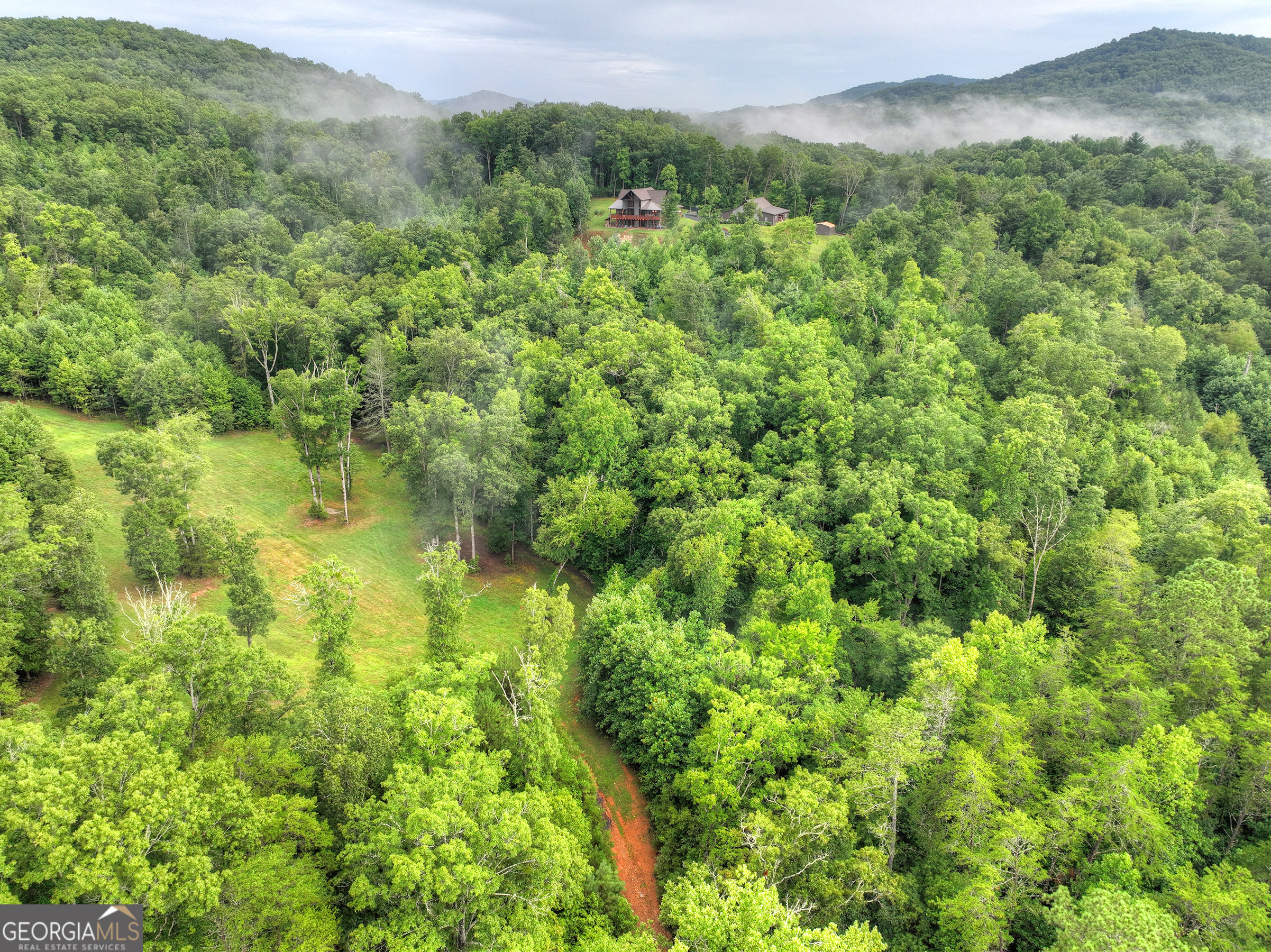 785 Wehunt Road Epworth, GA 30541 - Photo 67 of 73 a view of a forest with a street