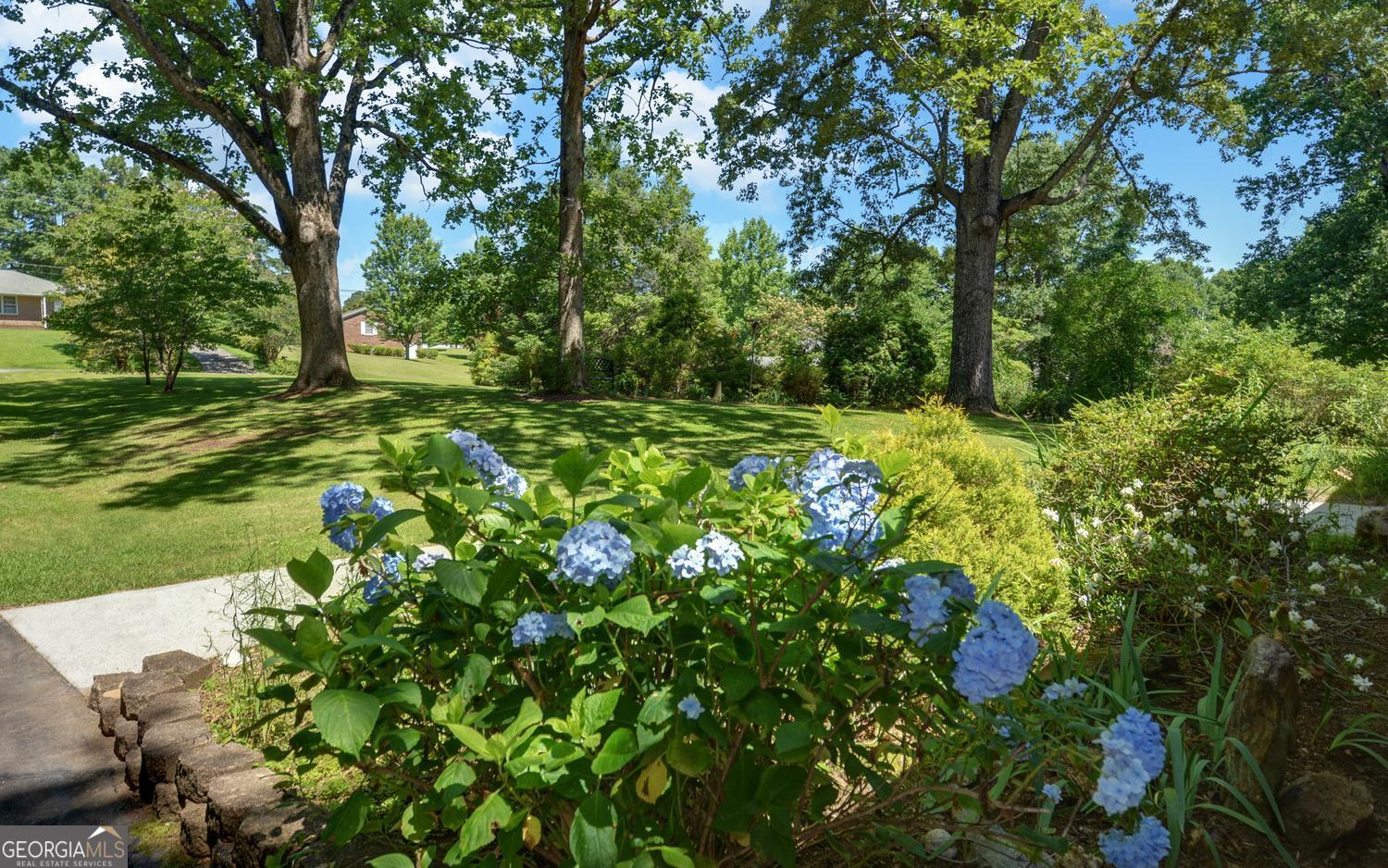 400 Harris Street Toccoa, GA 30577 - Photo 49 of 49 a backyard of a house with lots of green space