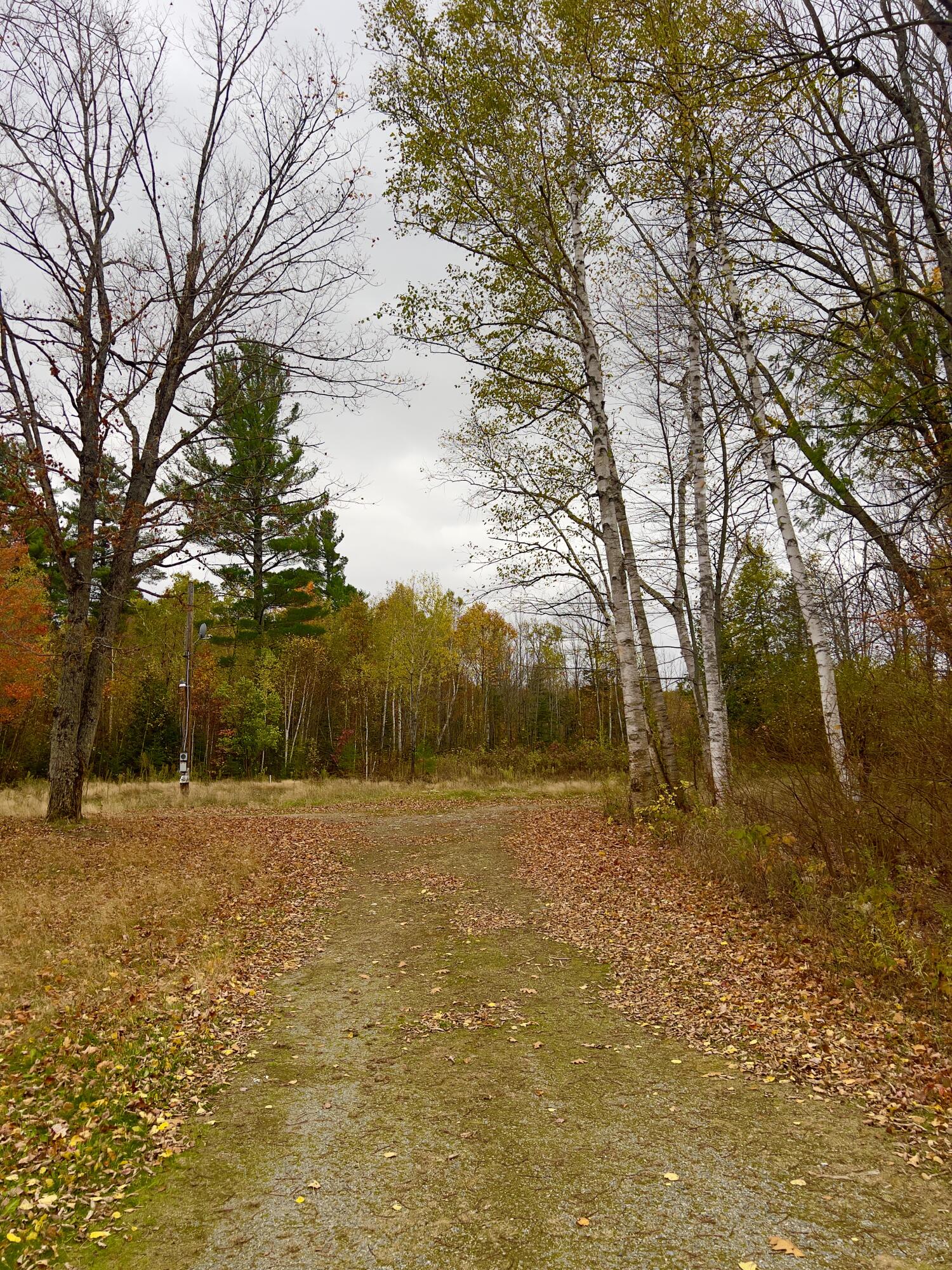 1594 Rangeley Road Phillips, ME 04966 - Photo 1 of 24 Autumn in Phillips
