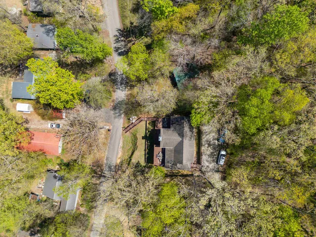 a view of a yard with plants and trees