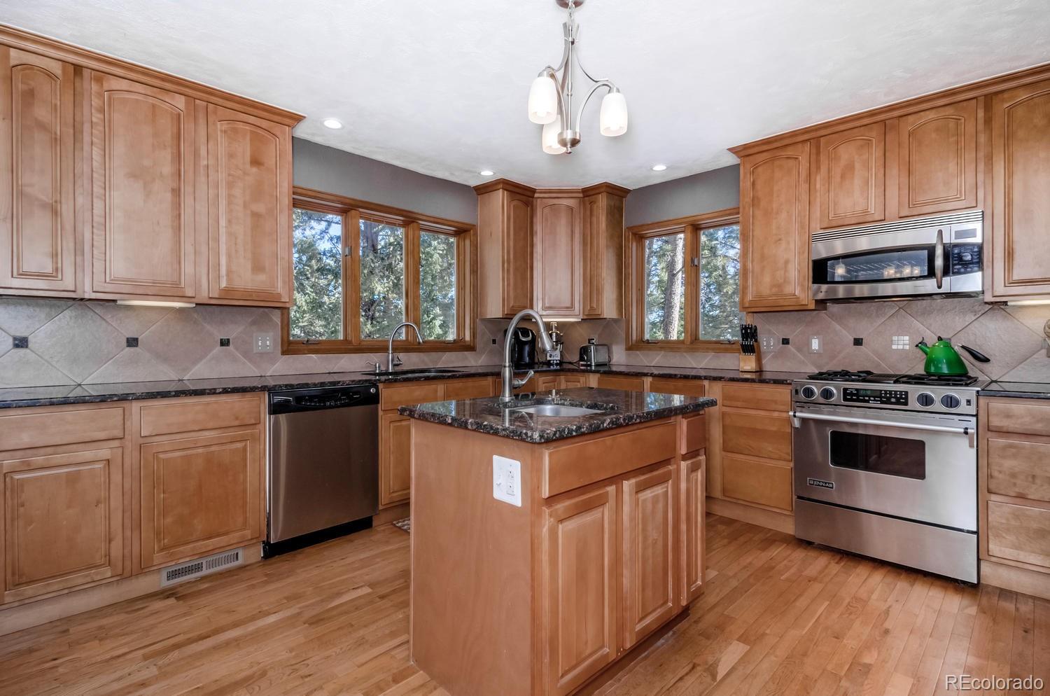 31873 Snowshoe Road Evergreen, CO 80439 - Photo 3 of 24 Gallery Image 3