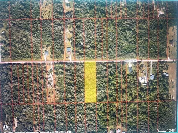 a view of a yard with a large tree