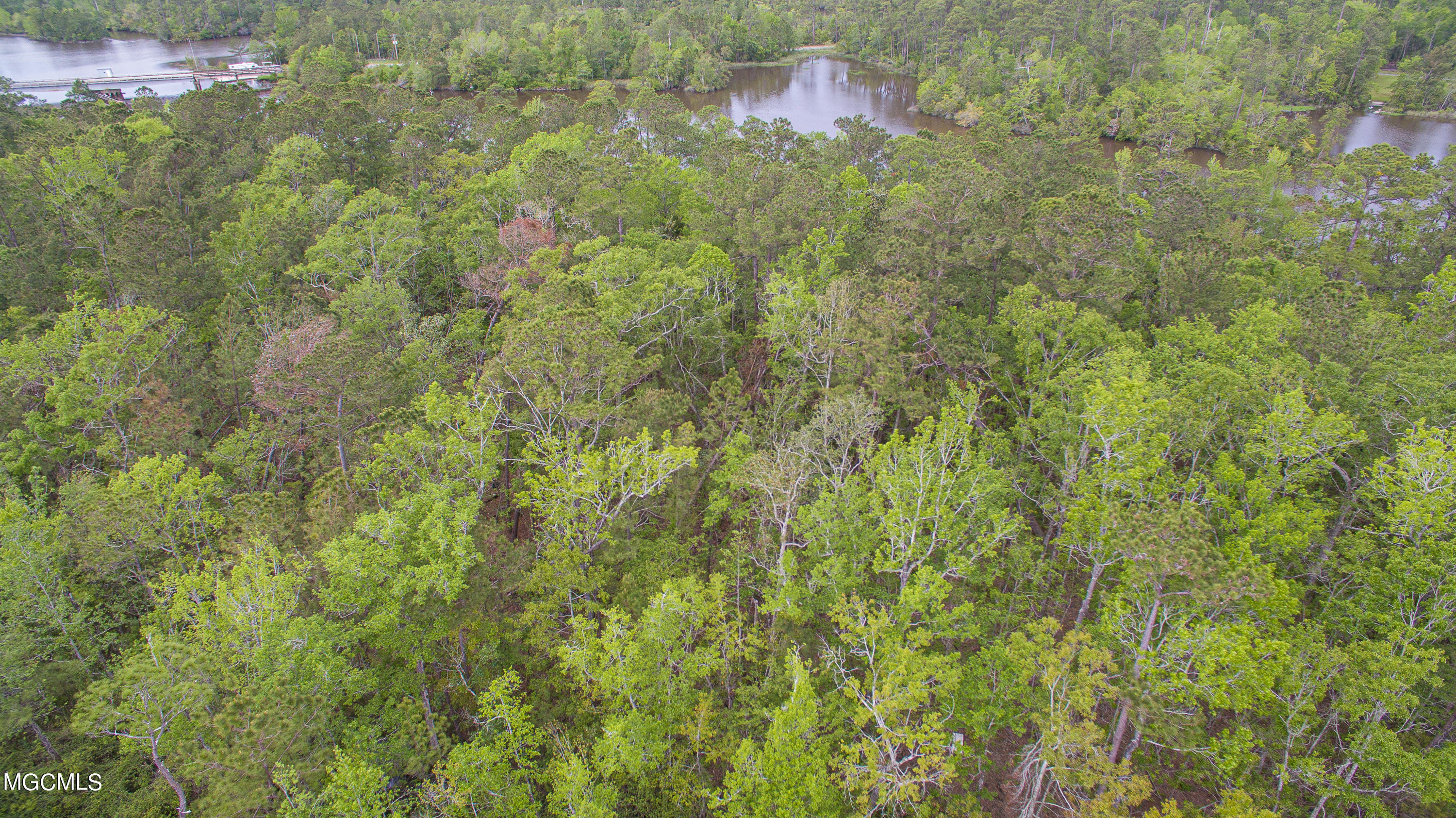 0 Road 536 Biloxi, MS 39532 - Photo 4 of 6 Road 536