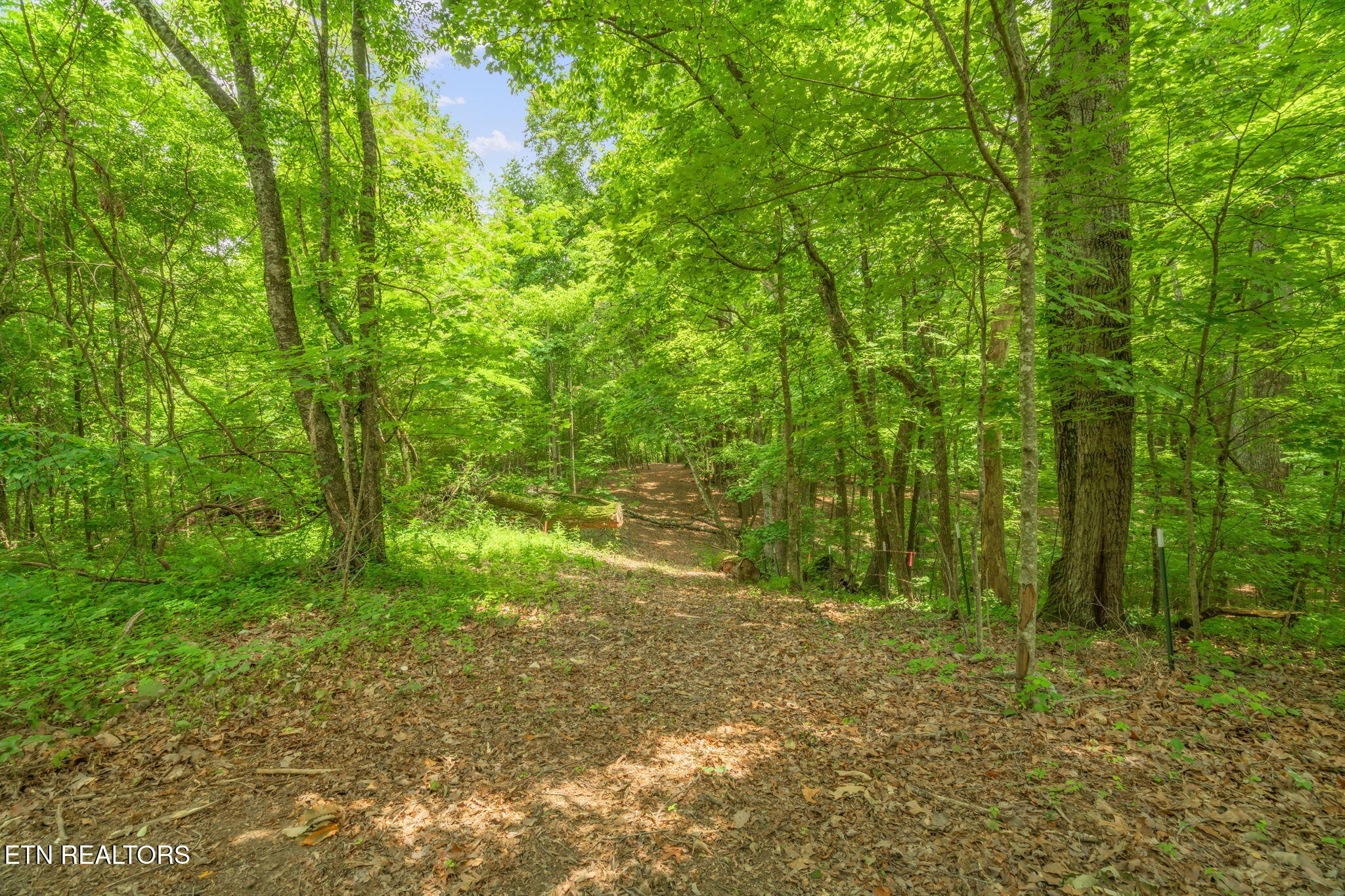 2 Black Oak Road Clinton, TN 37716 - Photo 4 of 16 Gallery Image 4