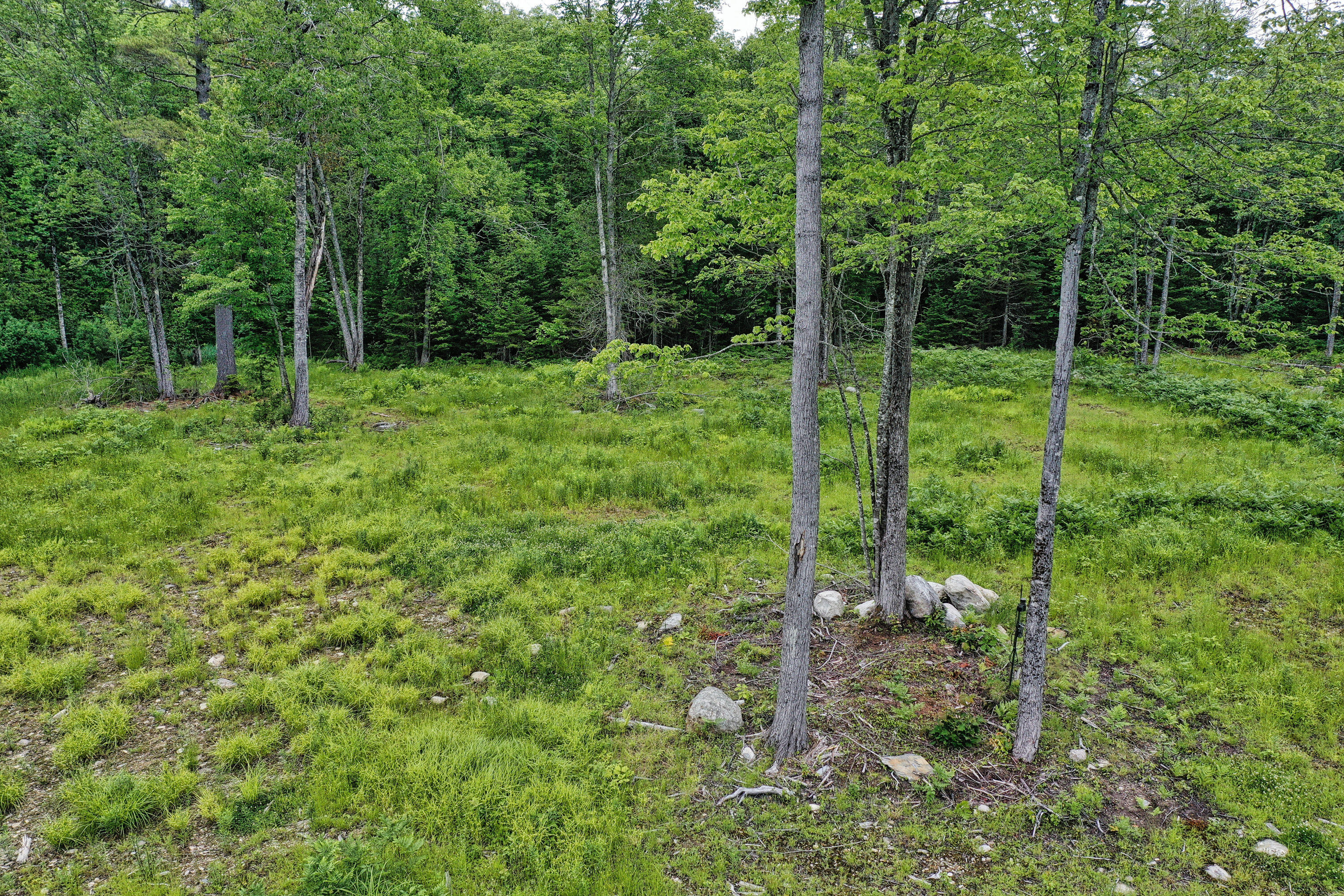 Lot 12 South Road Dixmont, ME 04932 - Photo 12 of 34 Cleared Lot