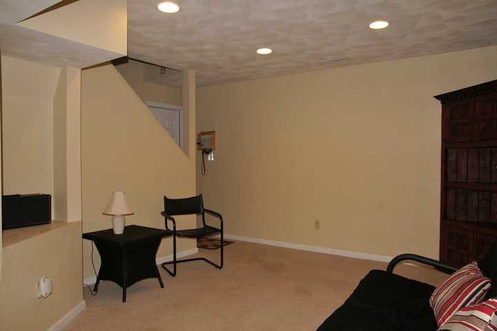 6582 Sylvan Brook Road Roanoke, VA 24018 - Photo 25 of 32 Lower Level Family Room 2