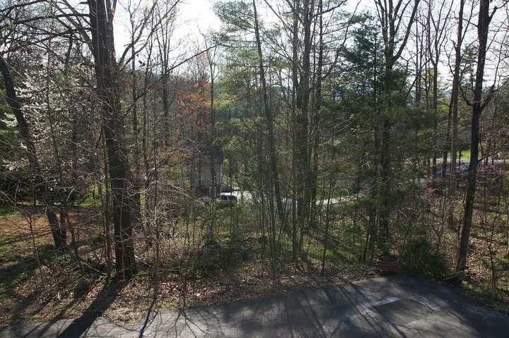 6582 Sylvan Brook Road Roanoke, VA 24018 - Photo 31 of 32 Backyard 2