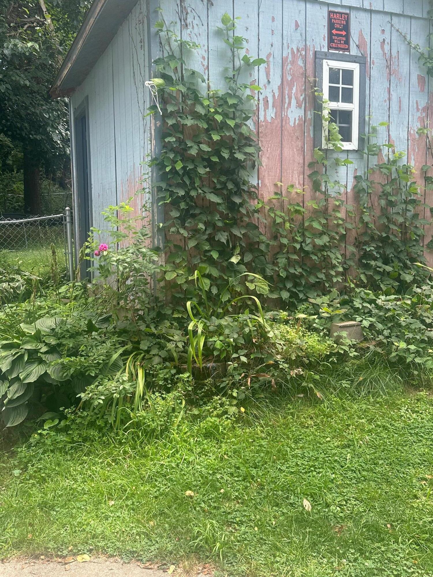 53075 Maple Street Dowagiac, MI 49047 - Photo 17 of 23 image6