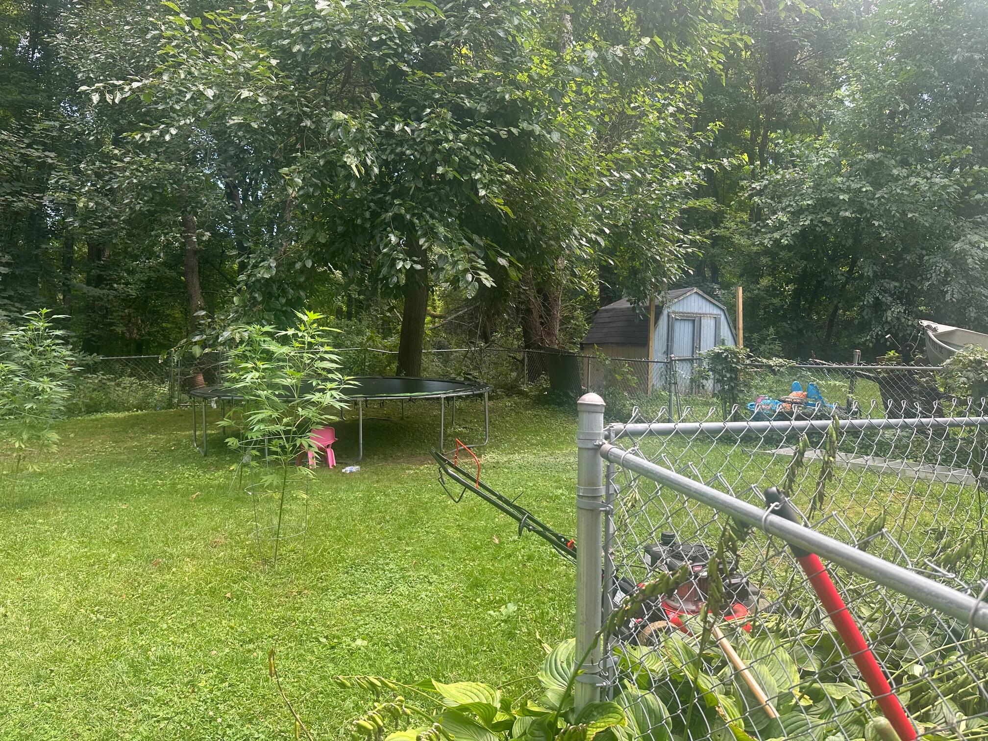 53075 Maple Street Dowagiac, MI 49047 - Photo 18 of 23 image5