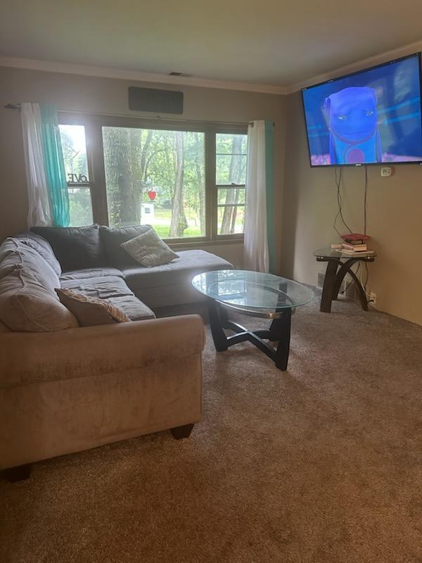 53075 Maple Street Dowagiac, MI 49047 - Photo 4 of 23 1000009007