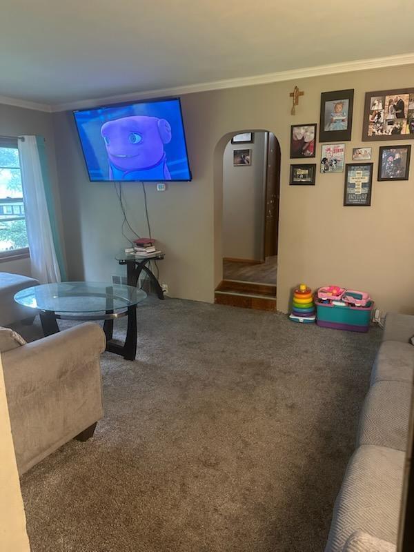 53075 Maple Street Dowagiac, MI 49047 - Photo 6 of 23 1000009008