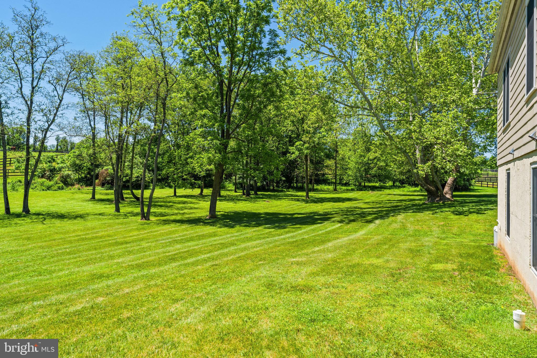 20147 Woodtrail Road Round Hill, VA 20141 - Photo 39 of 41 a view of a trees in a park