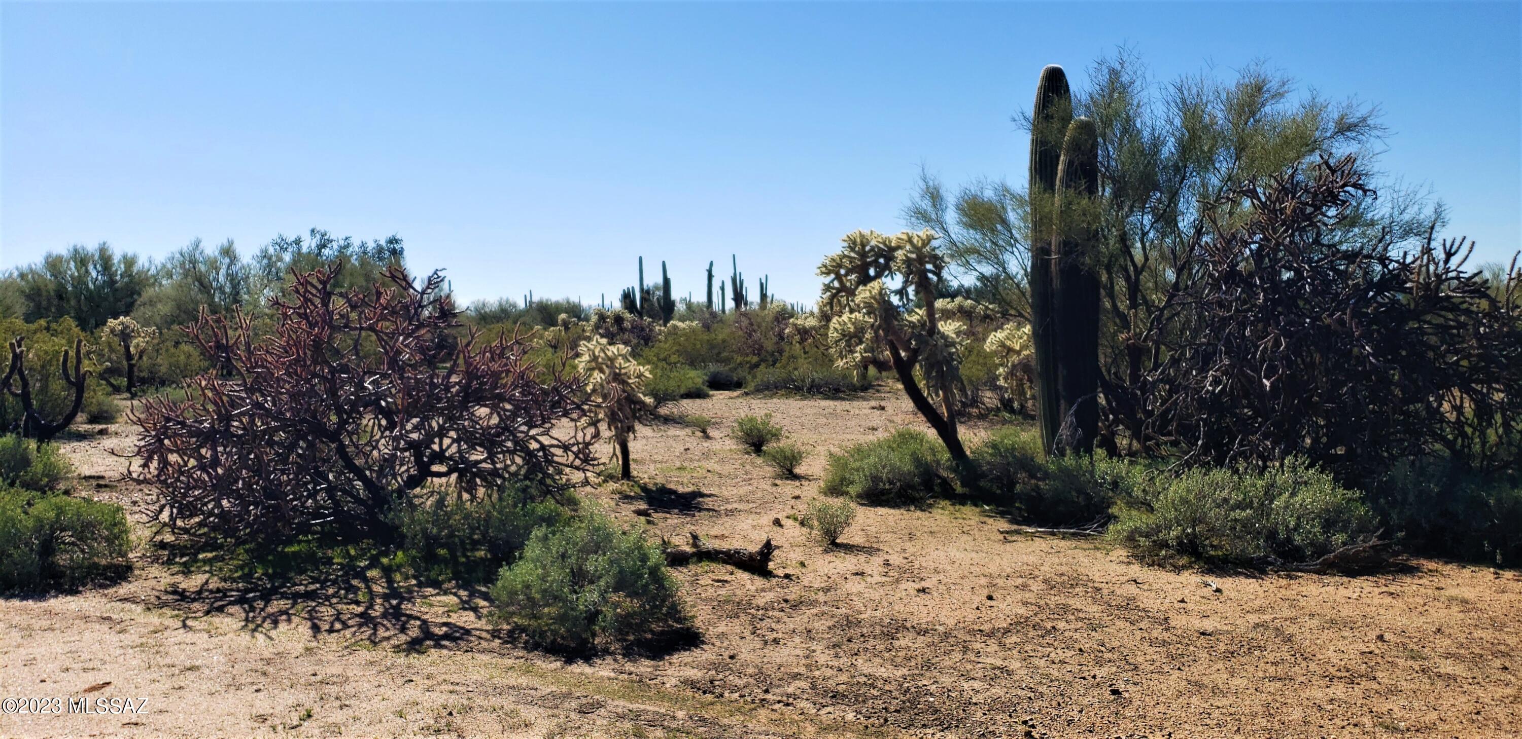 Tbd East Anaconda Road Marana, AZ 85658 - Photo 15 of 21 Gallery Image 15