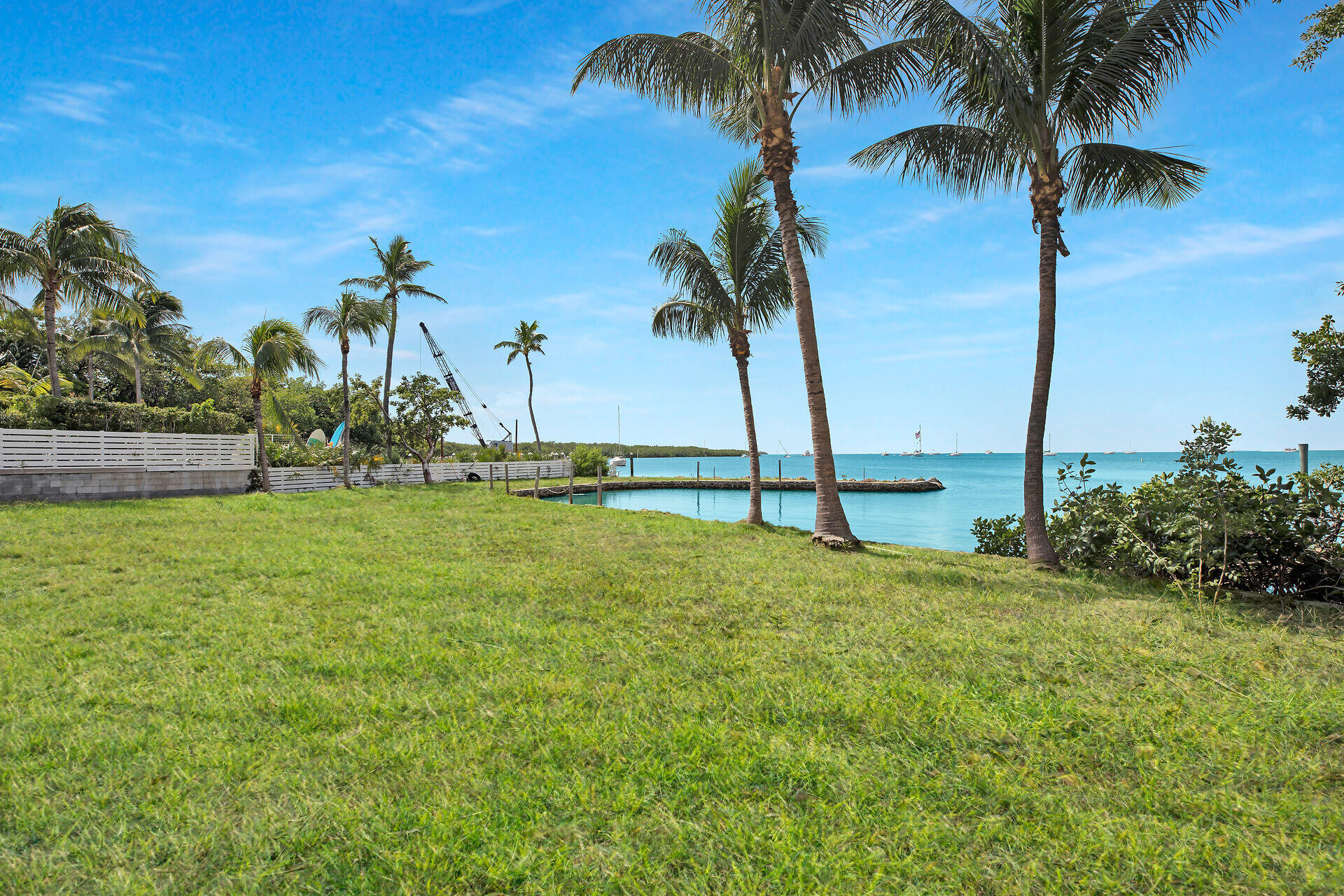 81908 Overseas Highway Islamorada, FL 33036 - Photo 10 of 23 a view of a yard with palm trees