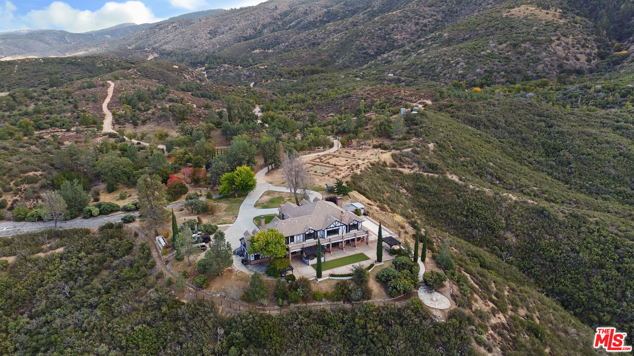 28765 Pine Canyon Road Lake Hughes, CA 93532 - Photo 26 of 58 an aerial view of residential houses with outdoor space