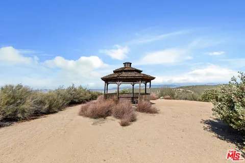 a view of a park with large trees