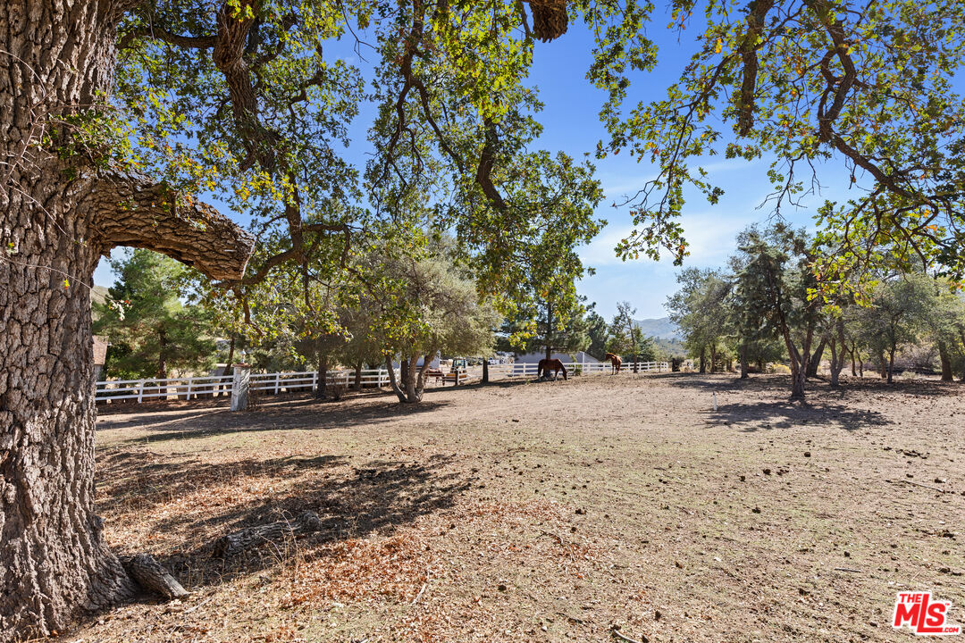 28765 Pine Canyon Road Lake Hughes, CA 93532 - Photo 38 of 58 a view of a yard with trees