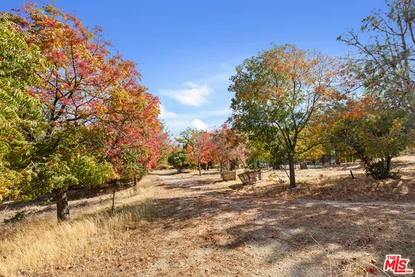 $11,975,000 | 28765 Pine Canyon Road, Lake Hughes, CA 93532