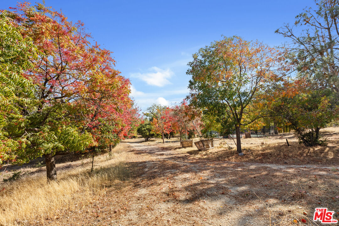28765 Pine Canyon Road Lake Hughes, CA 93532 - Photo 40 of 58 a view of road and trees