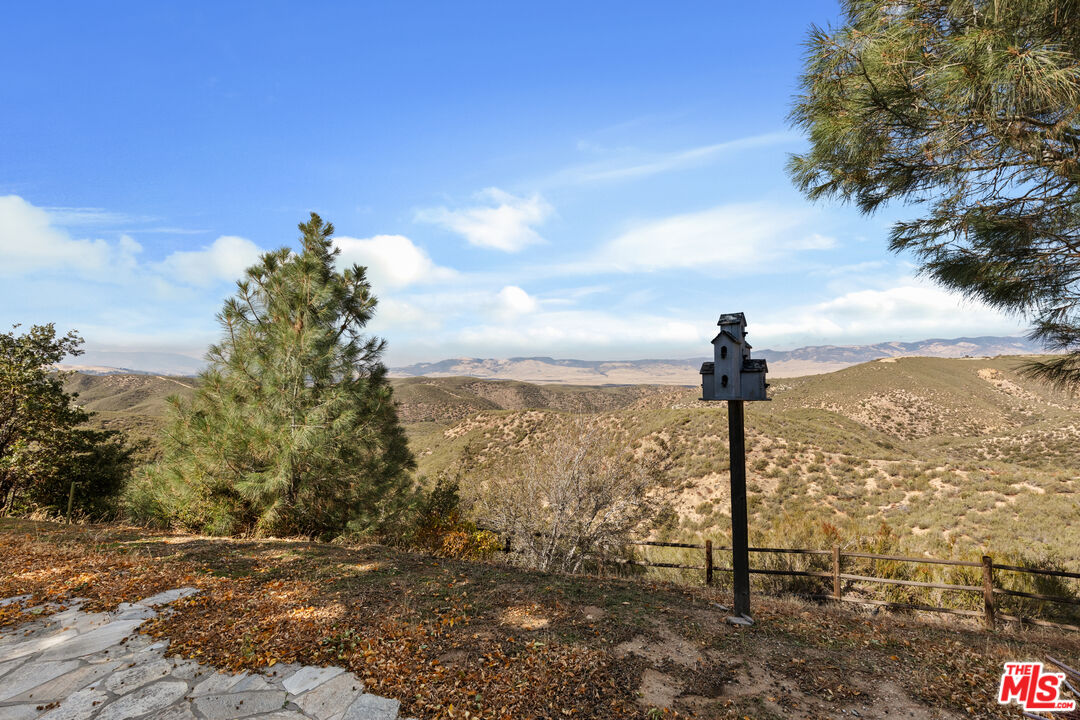 28765 Pine Canyon Road Lake Hughes, CA 93532 - Photo 41 of 58 a view of a yard with a tree in the background