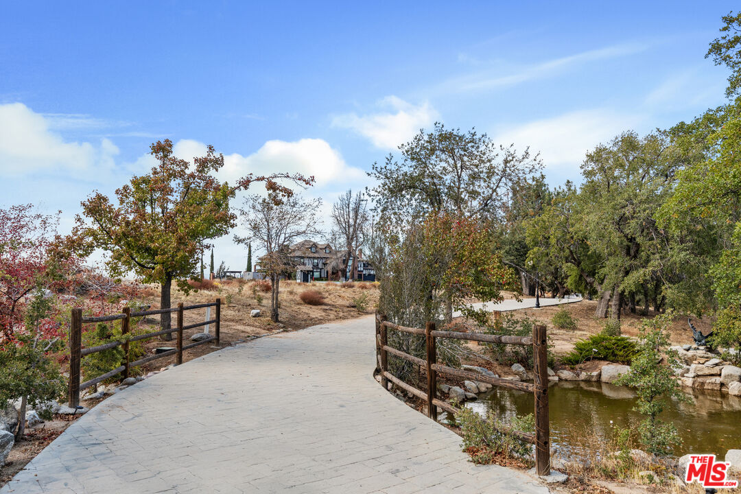 28765 Pine Canyon Road Lake Hughes, CA 93532 - Photo 7 of 58 a view of a outdoor space