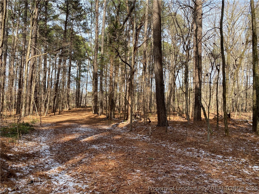 Breezeway Lane Carthage, NC 28327 - Photo 4 of 18