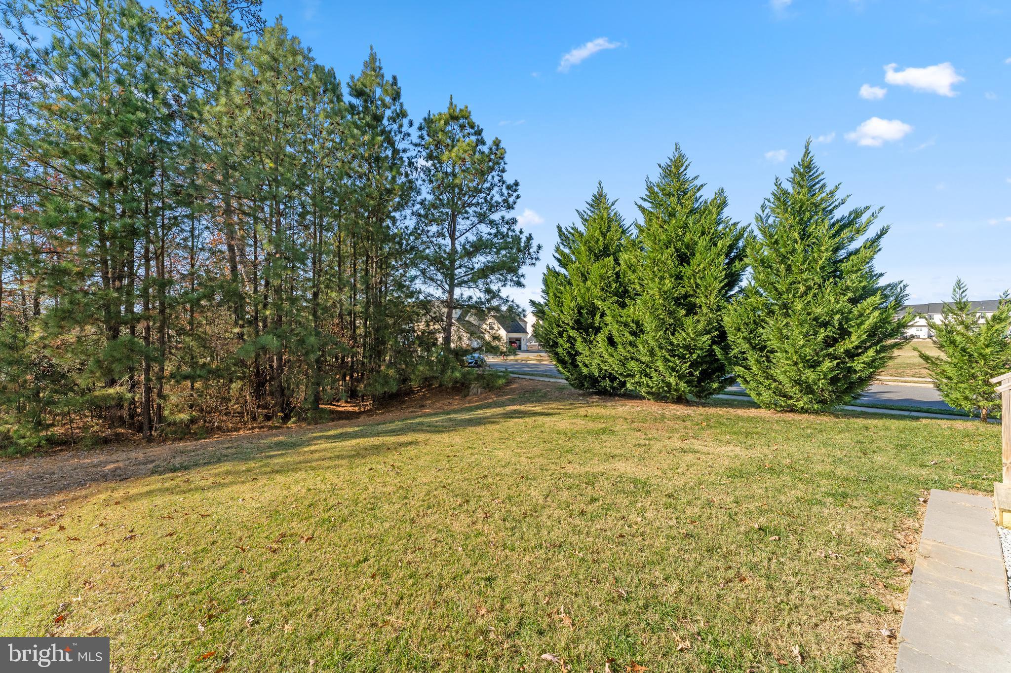 18350 Congressional Circle Ruther Glen, VA 22546 - Photo 5 of 55 a view of a yard with an outdoor space