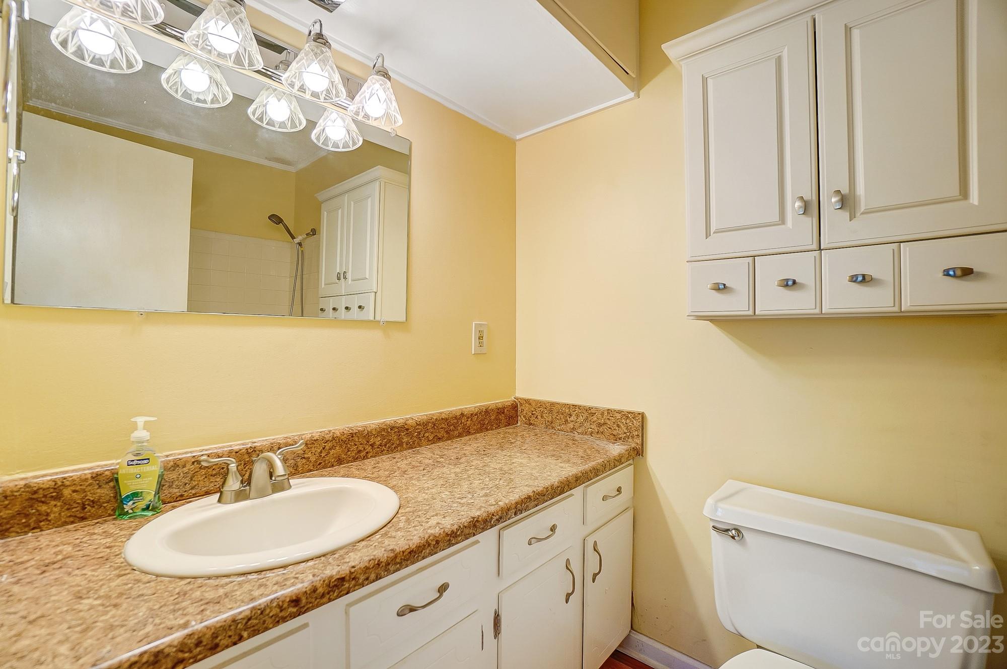 744 Ike Lynch Road Dallas, NC 28034 - Photo 30 of 47 a bathroom with a granite countertop sink a toilet and a mirror