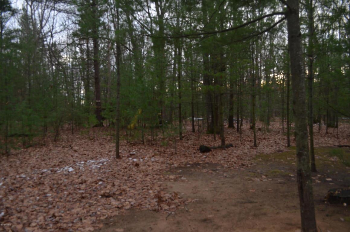 1479 Yoder Road Manistee, MI 49660 - Photo 47 of 54 1809132-46.JPG