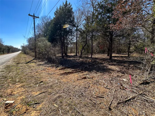 a view of a yard with trees